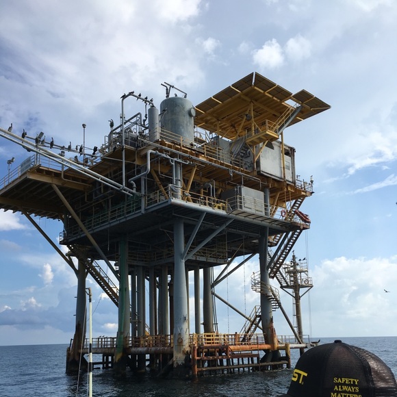 Meet your Posher, Benjamin - Picture 1 of 1